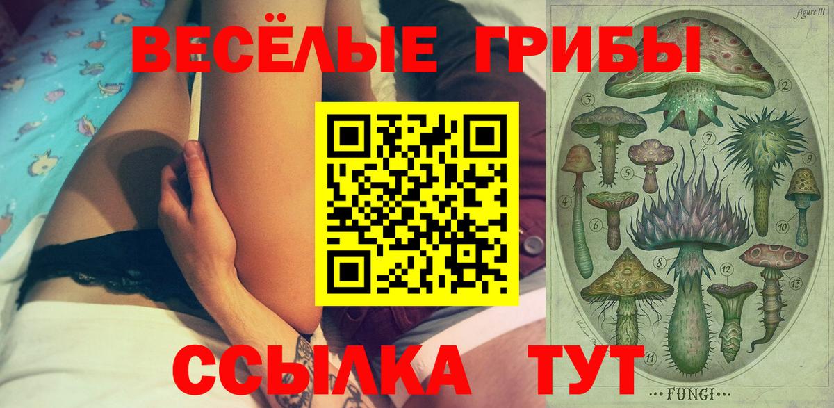 Псилоцибиновые грибы Magic Shrooms  Вход с VPN  Дятьково 