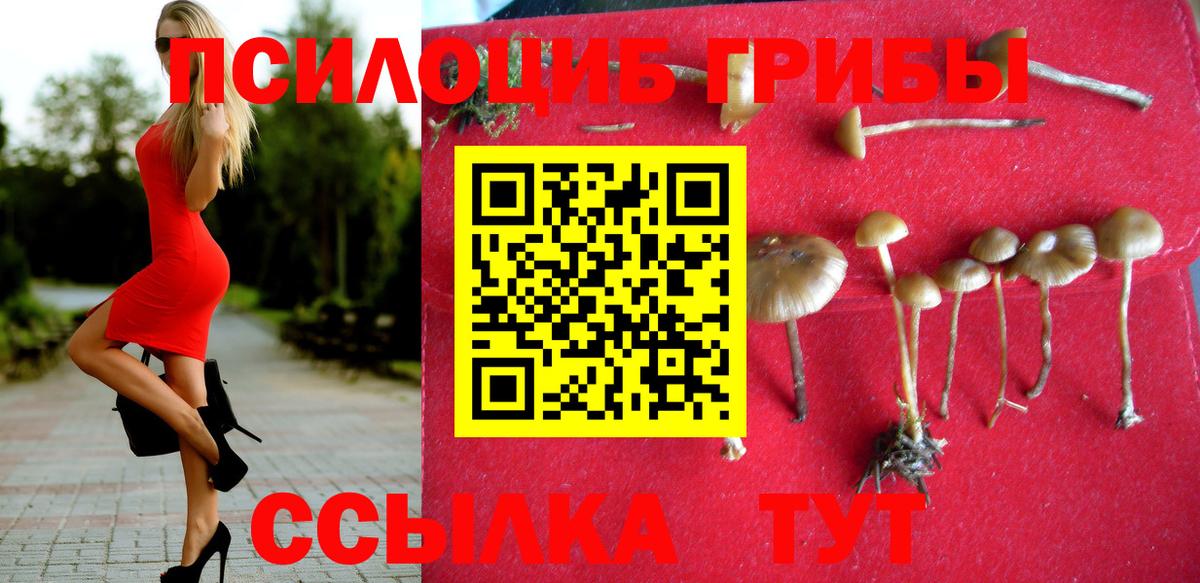 Псилоцибиновые грибы MAGIC MUSHROOMS Дятьково